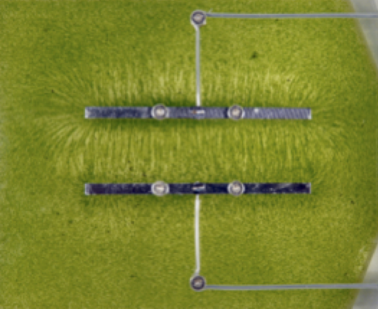Field lines are distinct between two oppositely charged parallel plates.