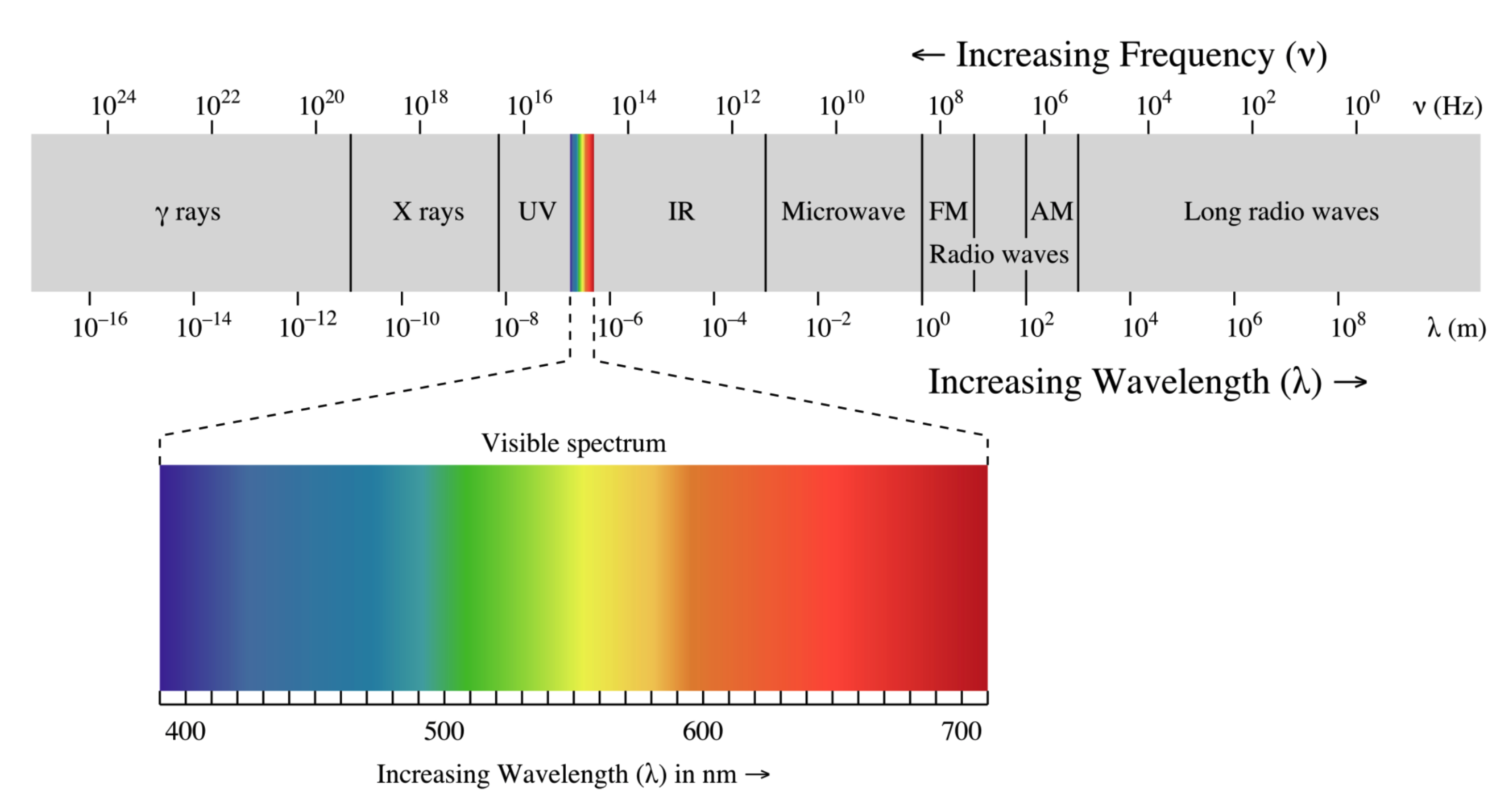 There are many phenomena that you have undoubtedly heard of and maybe didn't realize we're all the same thing. X rays, gamma rays, infrared rays, radio waves, and of course visible light waves...only differ by their frequency or by their wavelengths.