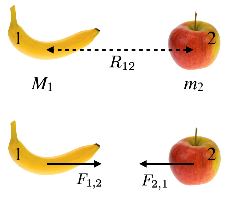 In the top, two objects, 1 and 2, with masses $M_1$ and $m_2$ , are a distance $R_{12}$ from one another. In the bottom, they each exert a gravitational force on the other of equal magnitude, but opposite direction (according to Newton's First law)