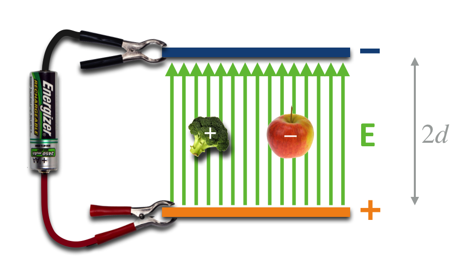 A boutique electric field created by an arrangement of metal plates and a battery.