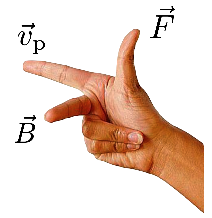 How to arrange your right hand (well, 3/5ths of your right hand) to calculate the direction of a force that a moving positively charged particle will feel in the presence of a magnetic field.