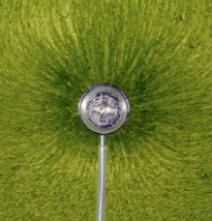 A photograph of little pollen bits which orient themselves in an electric field created by the charge in the center of the photograph.