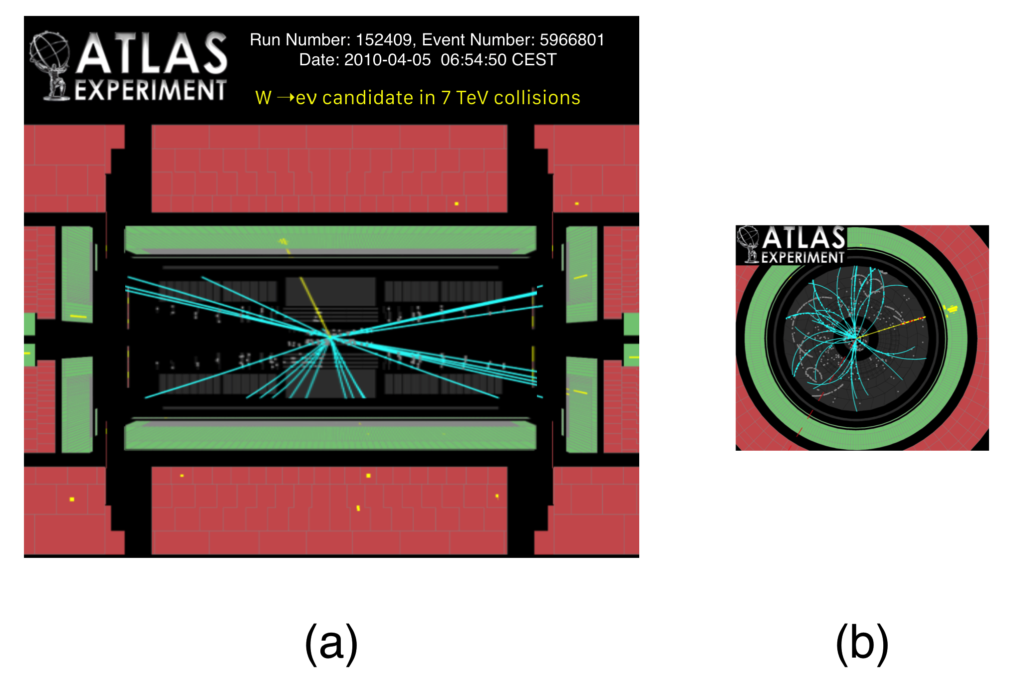 This is another event from the ATLAS detector, but now notice that the final state has only one yellow blob—one electron. (a) shows the side slice and (b) shows the end view.