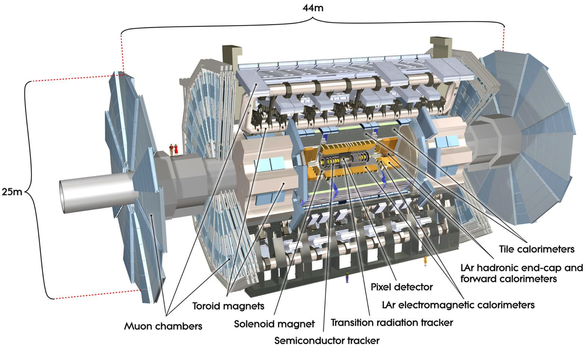 A cut-away drawing of the ATLAS Detector at CERN. See the two EU-sized people on the left?