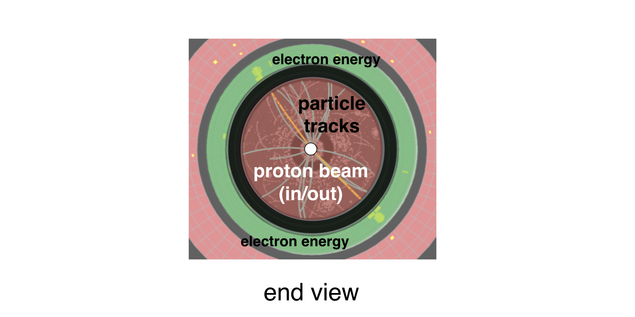 End slice view of an event in the ATLAS detector.