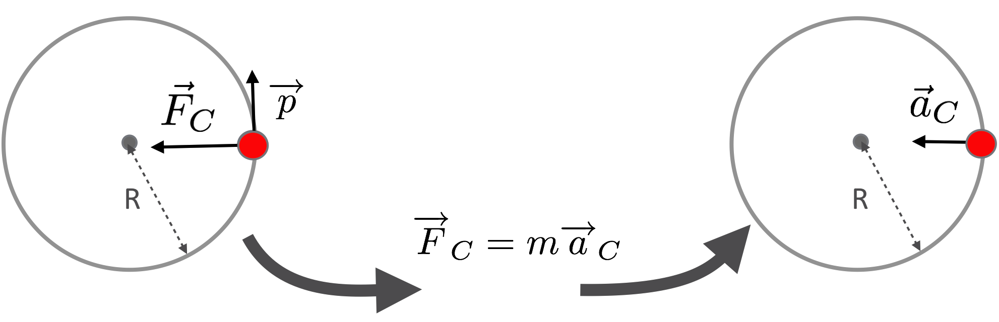 Centripetal force points to the center and centripetal acceleration does the same thing.