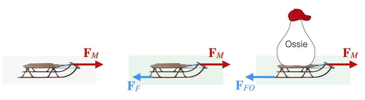 The left figure imagines a single force with no friction, like pulling a sled on smooth ice. The middle figure assumes that Mo is pulling the sled across grass, so there’s friction. The right figure imagines that Ossie is sitting on the sled which makes the friction more and adds to the overall mass. Notice the relative lengths of the two friction forces, with and without the added Ossie-load.